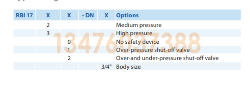 埃创ITRON 1700系列燃气调压器型号设计(图1)
