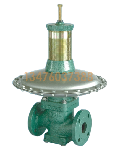 费希尔 JEON RTZ-SP/SE 燃气调压器 | RTZ-100/0.4SE 工业调压阀 | 现货供应支持定制
