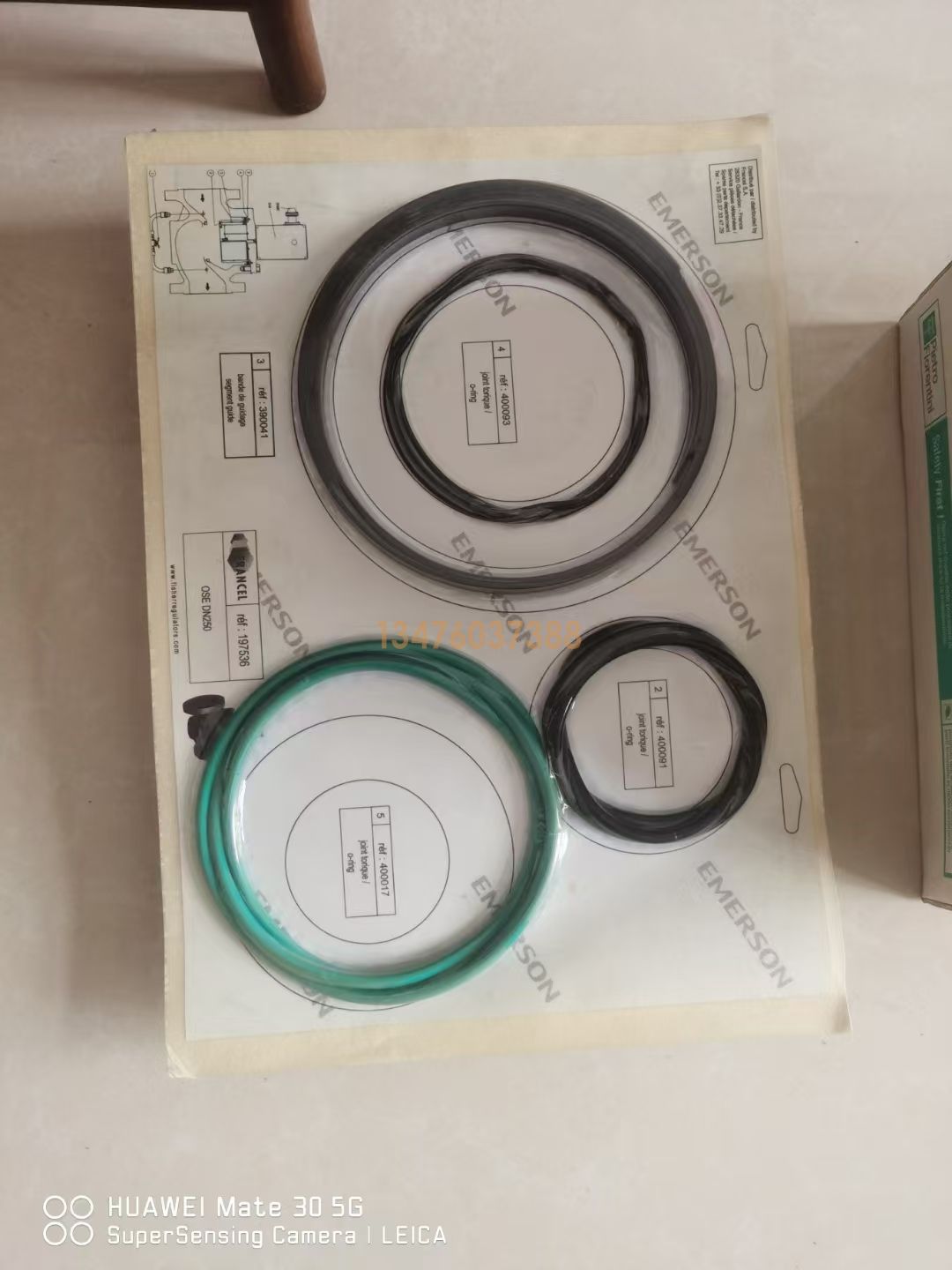 意大利飞奥 Fiorentini Minireg NORVAL375TR+IN/TR DN50 天然